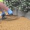 Resin Paving